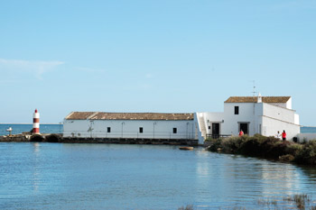 olhao bibliotheek